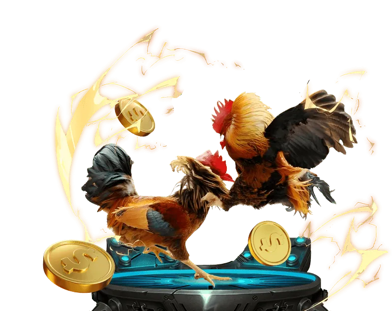 Hình ảnh hỗ trợ khách hàng và FAQ